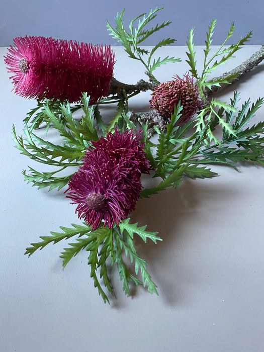 BANKSIA STEM RED/PINK - Banksia gren rød/pink