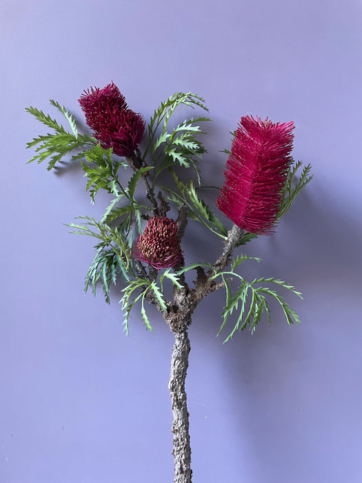 BANKSIA STEM RED/PINK - Banksia gren rød/pink