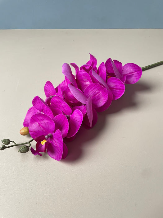 ORCHID STEM PURPLE/PINK - Orkide gren lilla/pink