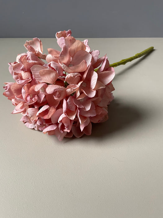 HYDRANGEA STEM OLD ROSE - Hortensia stilk gammel rosa