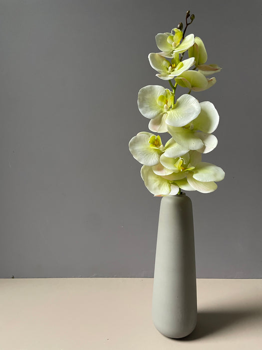 ORCHID STEM WHITE/GREEN - Orkide stilk hvid/grøn