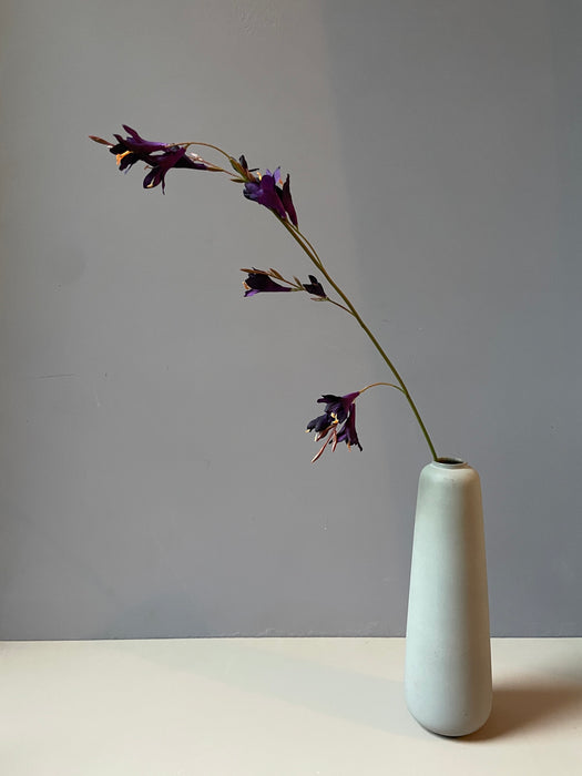 DIERAMA STEM PURPLE - Klokke blomst stilk lilla