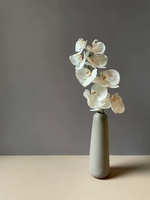 ORCHID STEM WHITE - Orkide gren hvid