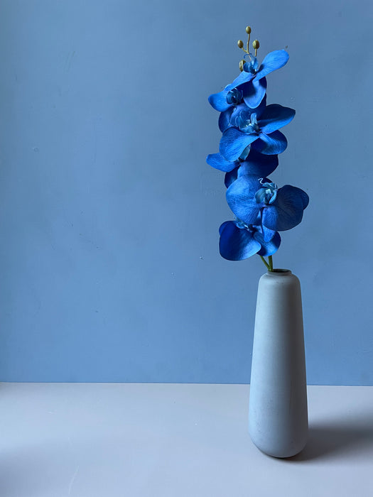 ORCHID STEM BLUE DARK - Orkide gren mørke blå