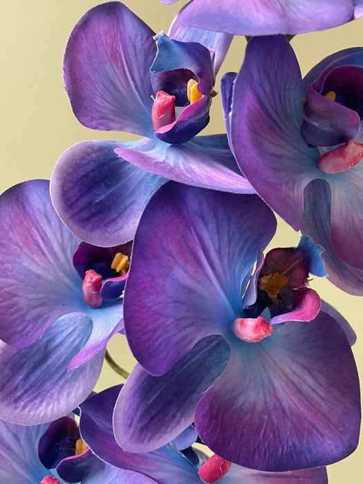ORCHID STEM BLUE/PURPLE- Orkide stilk blå/lilla
