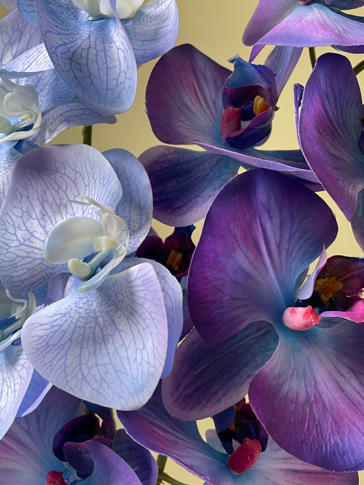ORCHID STEM BLUE/PURPLE- Orkide stilk blå/lilla
