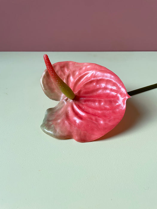 ANTHURIUM STEM PINK/PEACH - Anthurium lyserød/fersken (flamingoblomst)